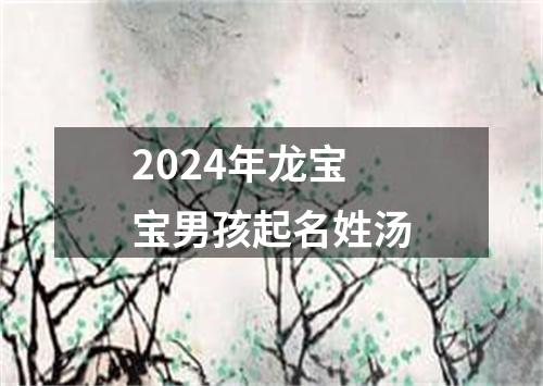 2024年龙宝宝男孩起名姓汤