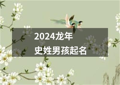 2024龙年史姓男孩起名