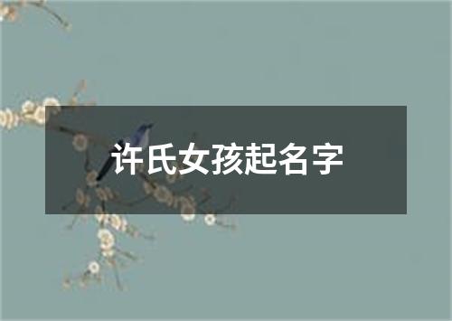 许氏女孩起名字