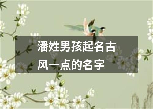 潘姓男孩起名古风一点的名字