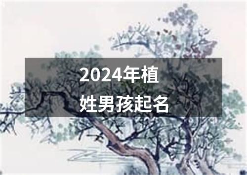 2024年植姓男孩起名