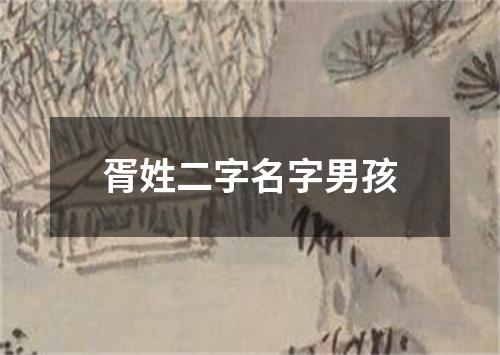 胥姓二字名字男孩