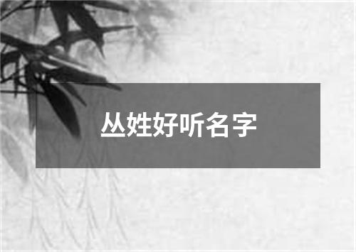 丛姓好听名字