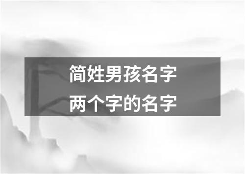 简姓男孩名字两个字的名字