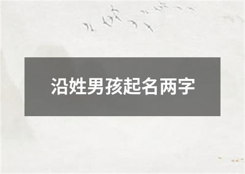 沿姓男孩起名两字