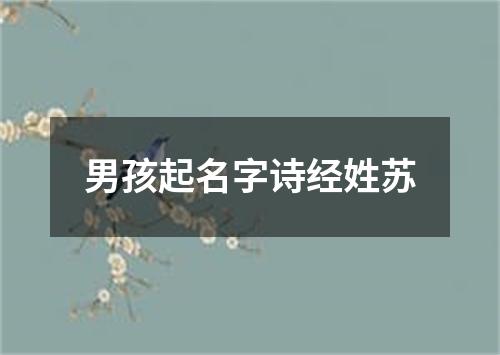 男孩起名字诗经姓苏