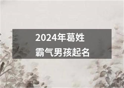 2024年葛姓霸气男孩起名