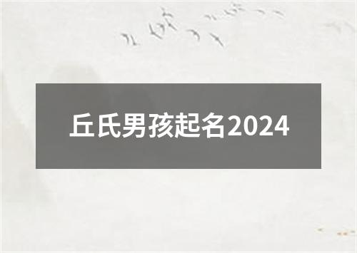 丘氏男孩起名2024