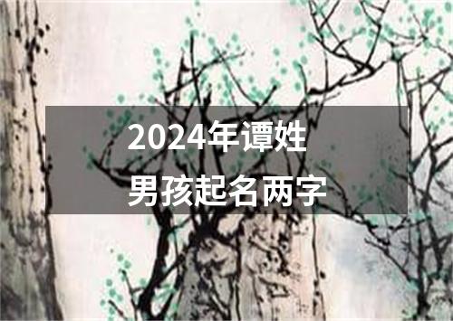 2024年谭姓男孩起名两字