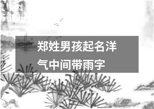 郑姓男孩起名洋气中间带雨字