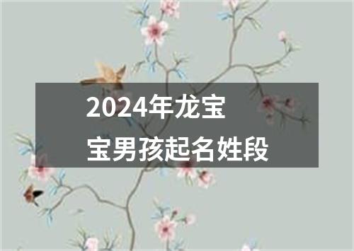 2024年龙宝宝男孩起名姓段