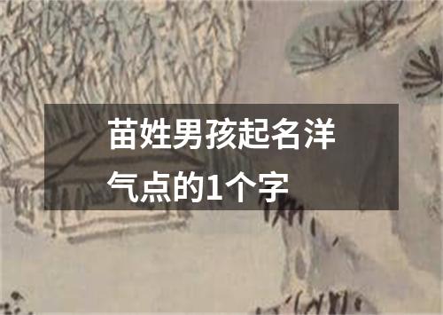 苗姓男孩起名洋气点的1个字