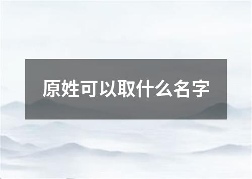 原姓可以取什么名字