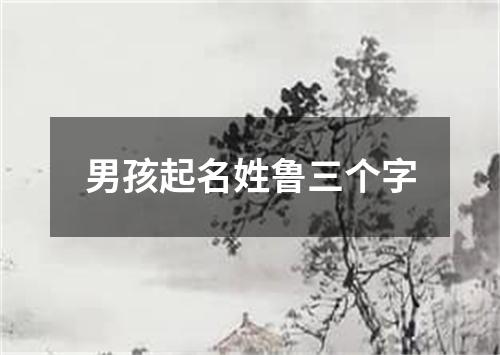 男孩起名姓鲁三个字