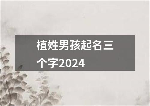 植姓男孩起名三个字2024