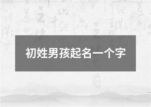 初姓男孩起名一个字