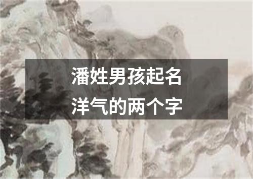 潘姓男孩起名洋气的两个字