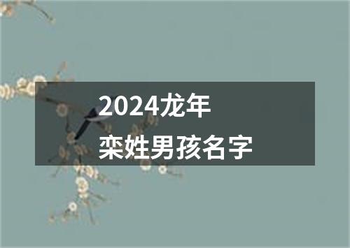 2024龙年栾姓男孩名字