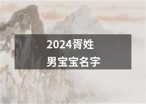 2024胥姓男宝宝名字