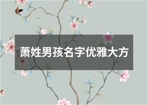 萧姓男孩名字优雅大方