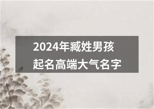 2024年臧姓男孩起名高端大气名字