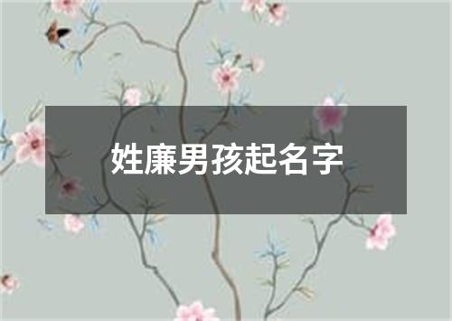 姓廉男孩起名字