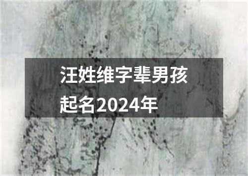 汪姓维字辈男孩起名2024年