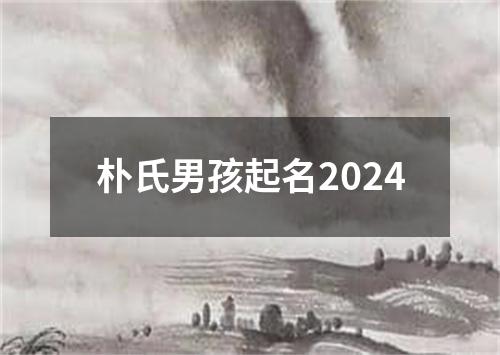 朴氏男孩起名2024