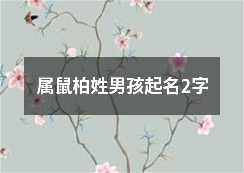 属鼠柏姓男孩起名2字