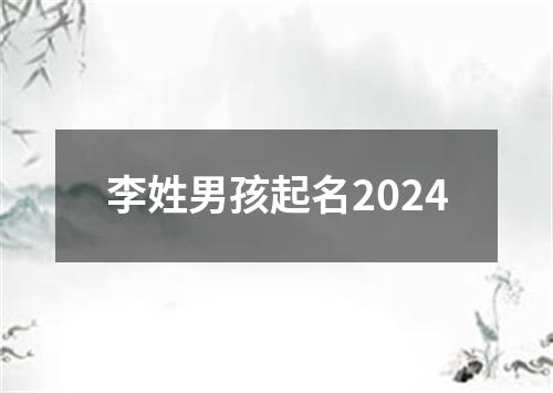 李姓男孩起名2024