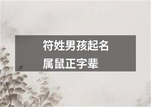 符姓男孩起名属鼠正字辈