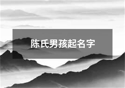 陈氏男孩起名字