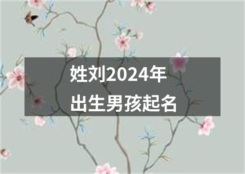 姓刘2024年出生男孩起名