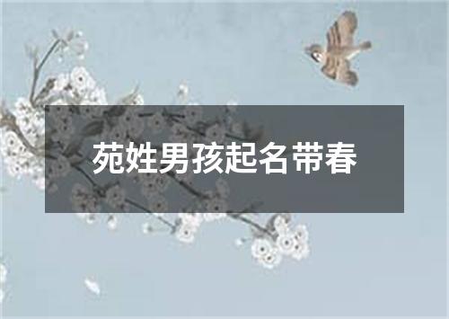 苑姓男孩起名带春