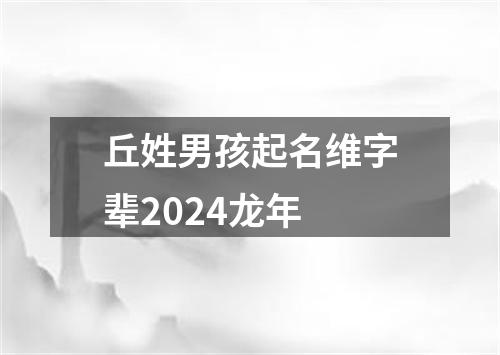 丘姓男孩起名维字辈2024龙年