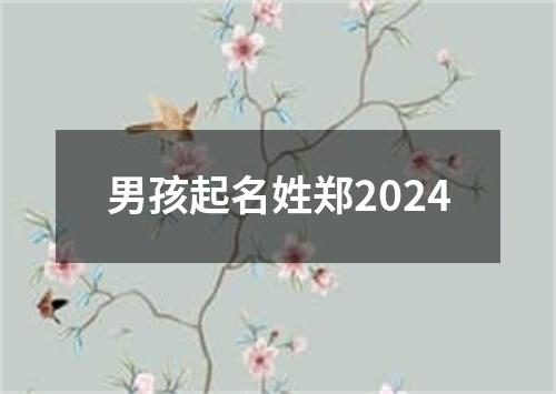 男孩起名姓郑2024