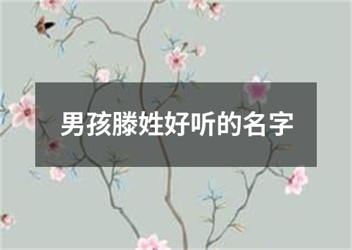 男孩滕姓好听的名字