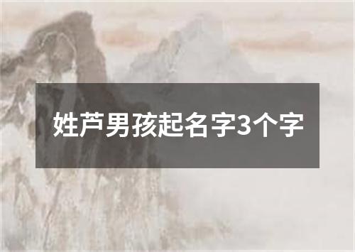 姓芦男孩起名字3个字