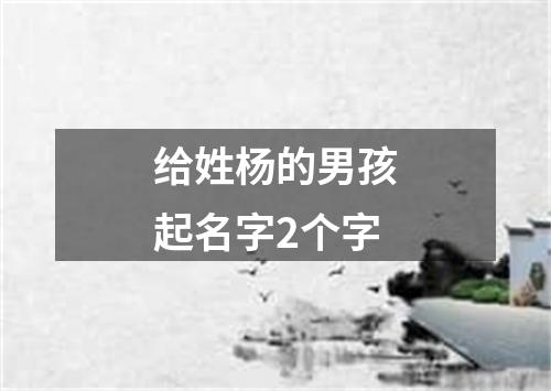 给姓杨的男孩起名字2个字