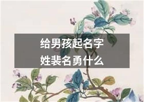 给男孩起名字姓裴名勇什么