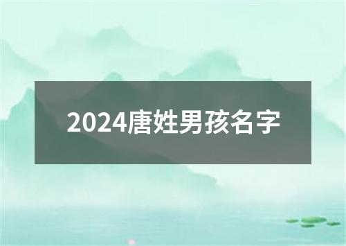 2024唐姓男孩名字