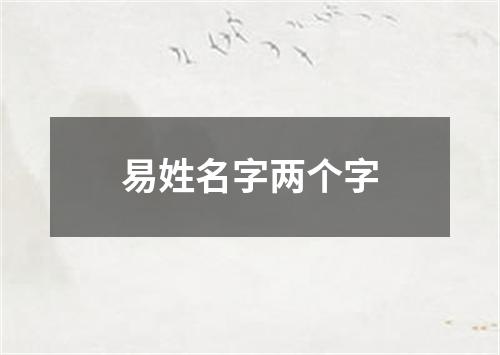 易姓名字两个字