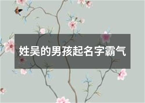 姓吴的男孩起名字霸气