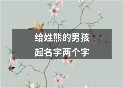 给姓熊的男孩起名字两个字