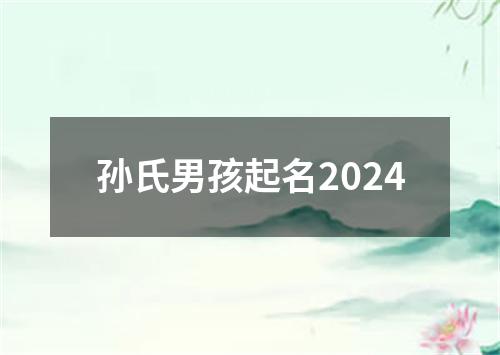 孙氏男孩起名2024