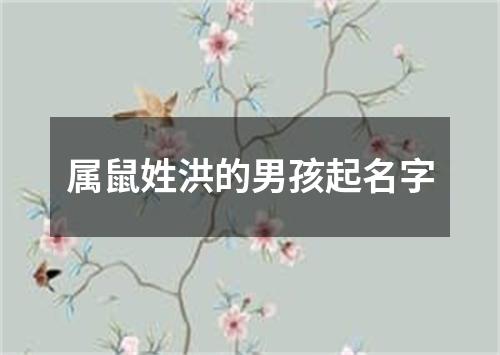 属鼠姓洪的男孩起名字