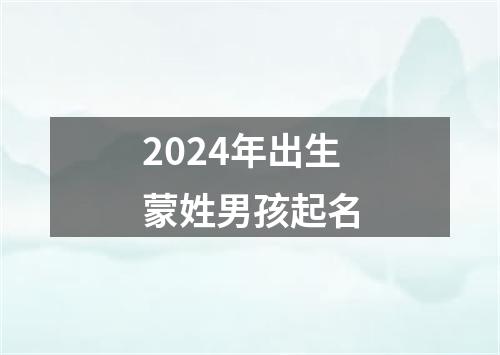 2024年出生蒙姓男孩起名