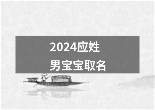 2024应姓男宝宝取名