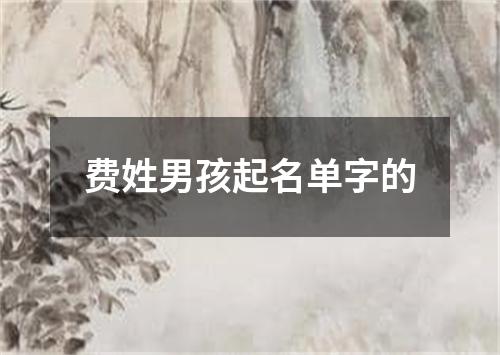 费姓男孩起名单字的