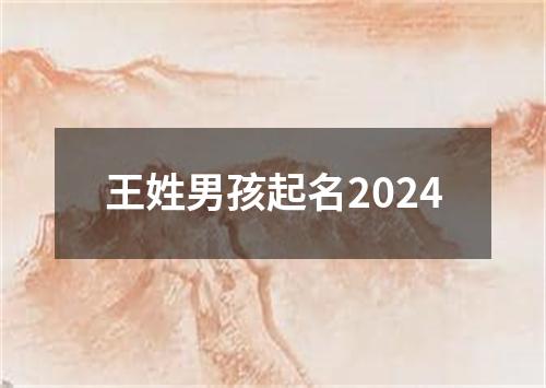 王姓男孩起名2024